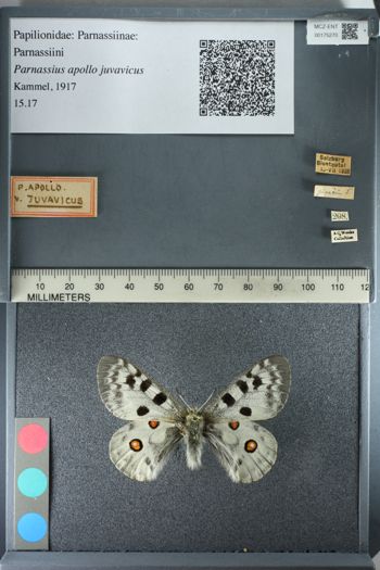 Media type: image;   Entomology 175270